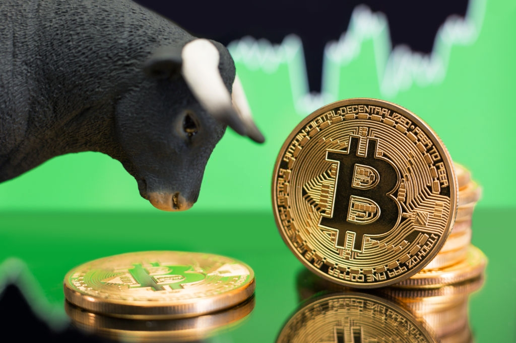 Crypto Trading Tips To Prepare You For The Upcoming Bull Market!