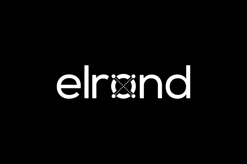 Elrond Network: A Highly Performing Blockchain Network!