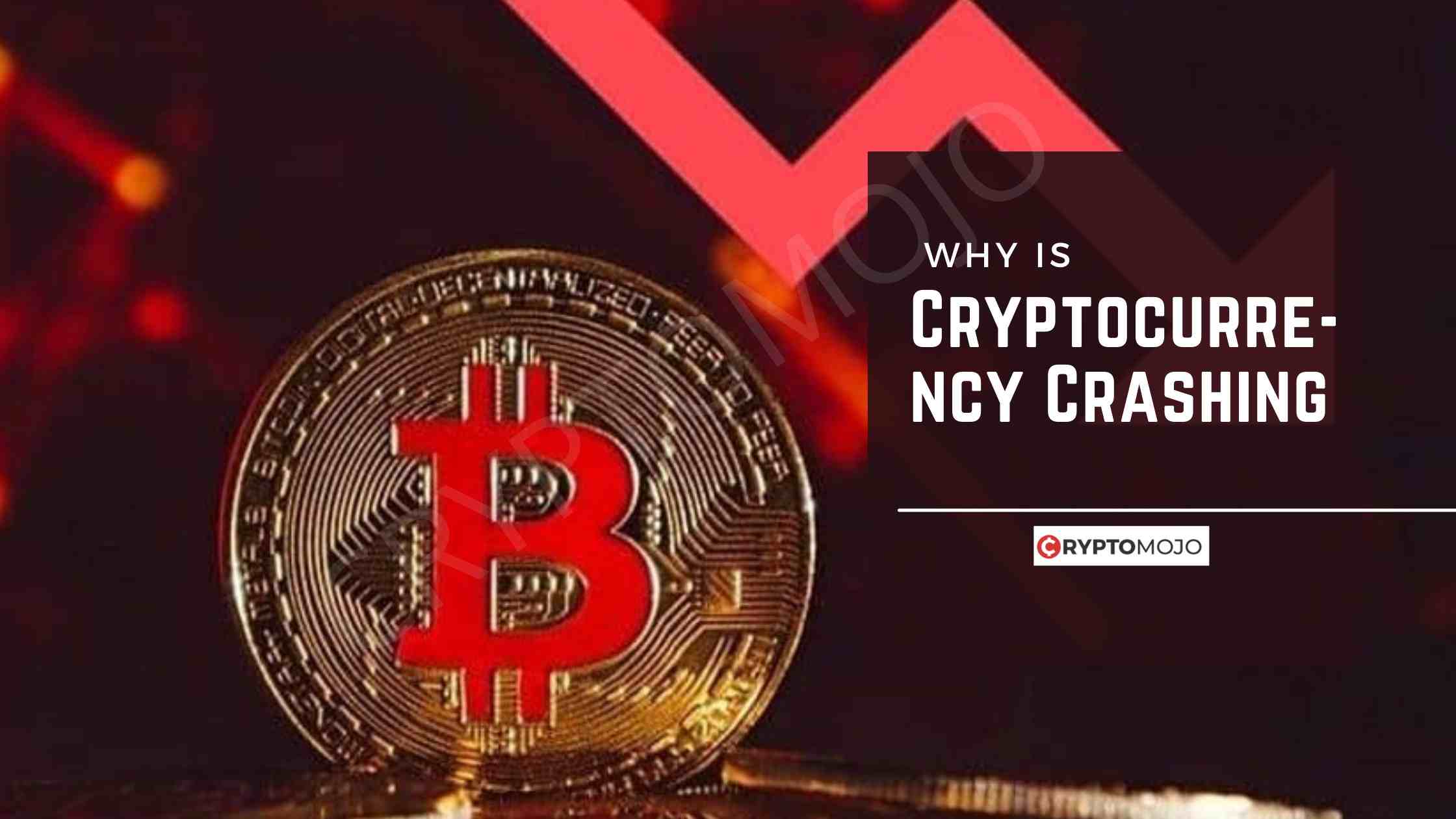 Why Is Cryptocurrency Crashing?- Will It Rise Again?