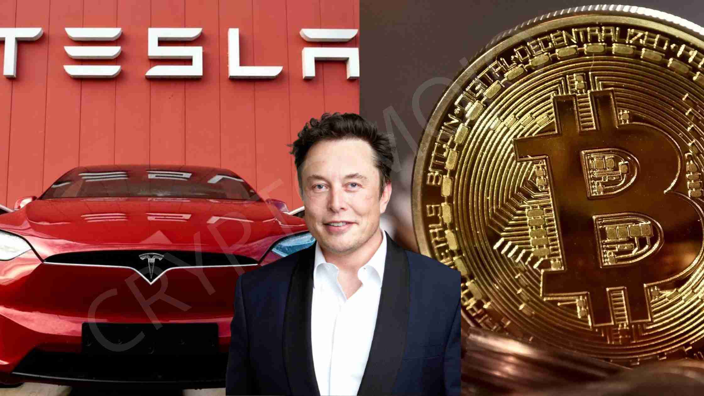 Did Elon Musk Make A Bitcoin Withdrawal Before Tesla Could Go Bankrupt?